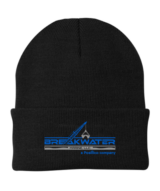 Knit Cap - CP90
