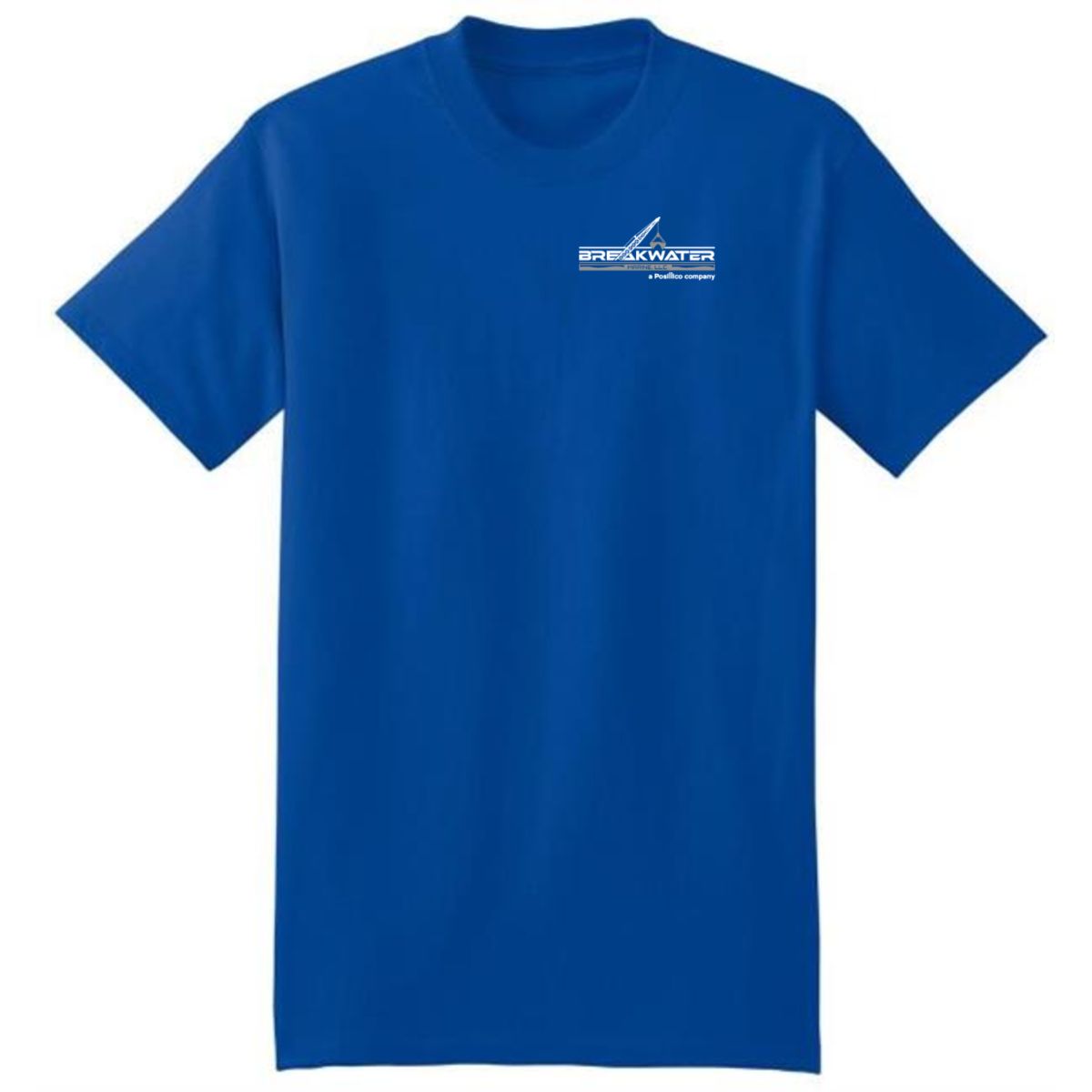 Hanes Cotton Tee Shirt - 5180