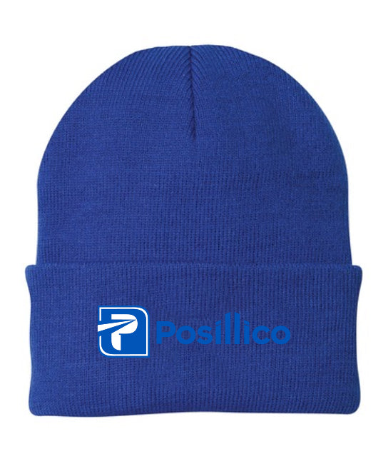 Knit Cap - CP90